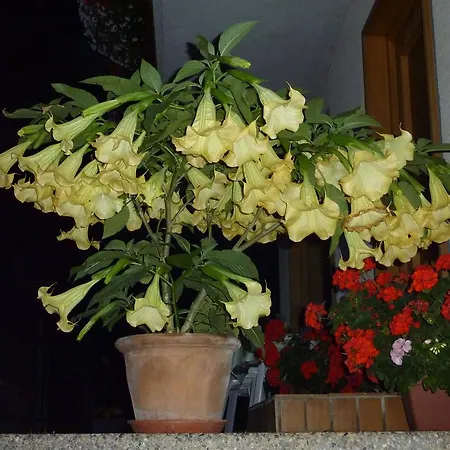 Holiday home Haus Valentin